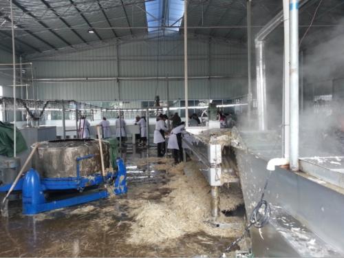 ���׈��O����գ����׈����w�O����ղ��